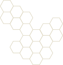 footer-pattern-bottom